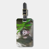 最も可愛い赤ん坊の動物 |驚いた雪猿 ラゲッジタグ (正面縦)