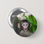 最も可愛い赤ん坊の動物 |驚いた雪猿 缶バッジ (正面&裏面)