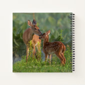 最も可愛い赤ん坊の動物 |鹿とベビー ノートブック (裏面)