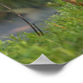 最も可愛い赤ん坊の動物 |鹿とベビー ポスター (角)