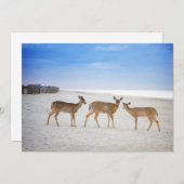 最も可愛い赤ん坊の動物 |鹿のビーチ サンキューカード (正面/裏面)