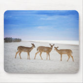 最も可愛い赤ん坊の動物 |鹿のビーチ マウスパッド (正面)
