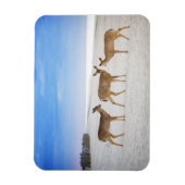 最も可愛い赤ん坊の動物 |鹿のビーチ マグネット (縦)