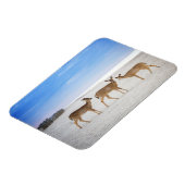 最も可愛い赤ん坊の動物 |鹿のビーチ マグネット (左側)