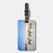 最も可愛い赤ん坊の動物 |鹿のビーチ ラゲッジタグ (正面縦)