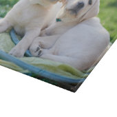 最も可愛い赤ん坊の動物 |黄色のラブラドール検索 カッティングボード (角)