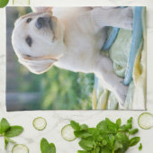 最も可愛い赤ん坊の動物 |黄色のラブラドール検索 キッチンタオル (折り畳み)