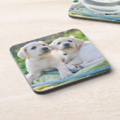 最も可愛い赤ん坊の動物 |黄色のラブラドール検索 コースター (左側)