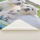 最も可愛い赤ん坊の動物 |黄色のラブラドール検索 シェルパブランケット (3/4)