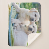 最も可愛い赤ん坊の動物 |黄色のラブラドール検索 シェルパブランケット (正面)