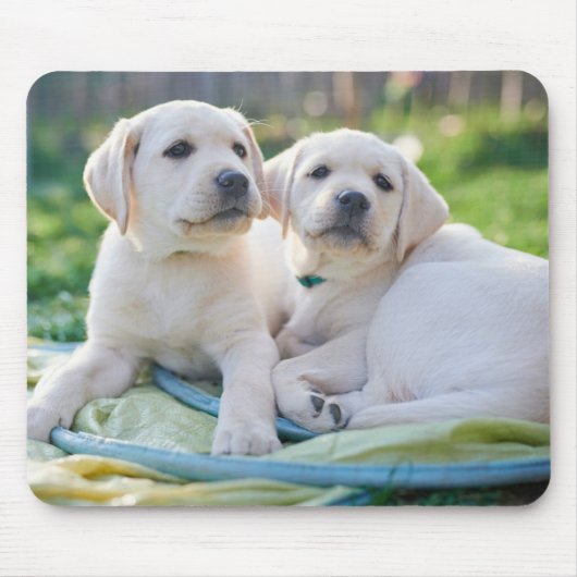 最も可愛い赤ん坊の動物 |黄色のラブラドール検索 マウスパッド (正面)