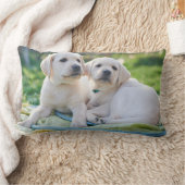 最も可愛い赤ん坊の動物 |黄色のラブラドール検索 ランバークッション (ブランケット)