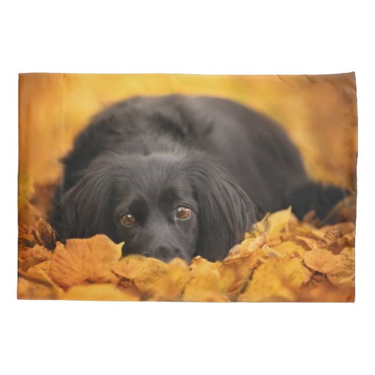 最も可愛い赤ん坊の動物 |黒いスパニエル犬子犬 枕カバー (裏面)