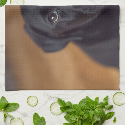 最も可愛い赤ん坊の動物 |黒いラブラドール子犬 キッチンタオル (折り畳み)