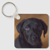最も可愛い赤ん坊の動物 |黒いラブラドール子犬 キーホルダー (正面)