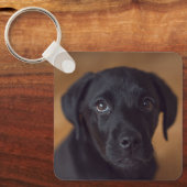 最も可愛い赤ん坊の動物 |黒いラブラドール子犬 キーホルダー (正面)