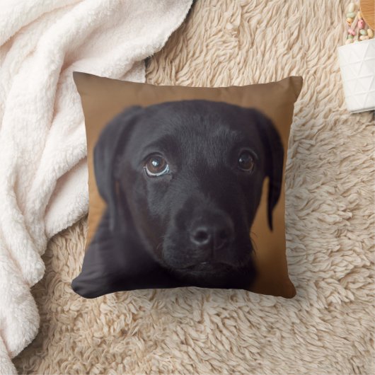 最も可愛い赤ん坊の動物 |黒いラブラドール子犬 クッション (ブランケット)
