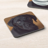 最も可愛い赤ん坊の動物 |黒いラブラドール子犬 コースター (左側)