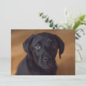 最も可愛い赤ん坊の動物 |黒いラブラドール子犬 サンキューカード (スタンド正面)