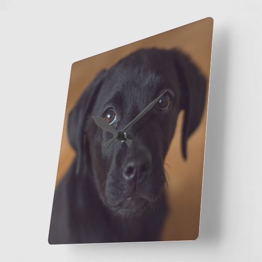 最も可愛い赤ん坊の動物 |黒いラブラドール子犬 スクエア壁時計 (傾斜)