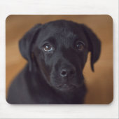 最も可愛い赤ん坊の動物 |黒いラブラドール子犬 マウスパッド (正面)