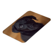 最も可愛い赤ん坊の動物 |黒いラブラドール子犬 マグネット (左側)