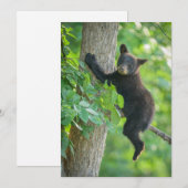 最も可愛い赤ん坊の動物 |黒クマの子 サンキューカード (正面/裏面)