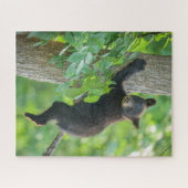 最も可愛い赤ん坊の動物 |黒クマの子 ジグソーパズル (横)