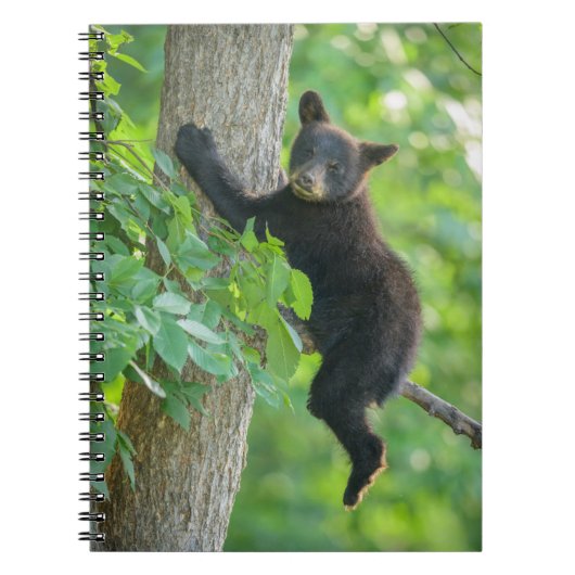 最も可愛い赤ん坊の動物 |黒クマの子 ノートブック (正面)