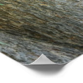 最も可愛い赤ん坊の動物 |黒クマの子 ポスター (角)