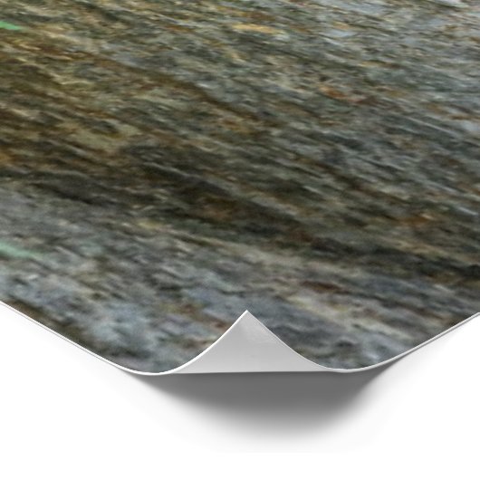 最も可愛い赤ん坊の動物 |黒クマの子 ポスター (角)