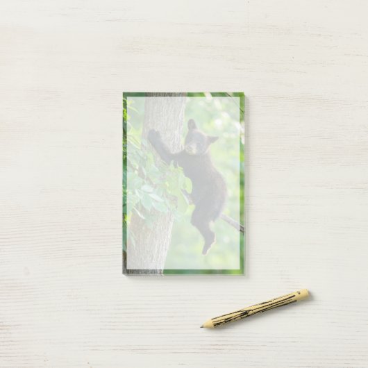 最も可愛い赤ん坊の動物 |黒クマの子 ポストイット (デスク上)