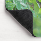 最も可愛い赤ん坊の動物 |黒クマの子 マウスパッド (コーナー)