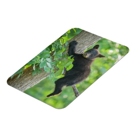 最も可愛い赤ん坊の動物 |黒クマの子 マグネット (左側)