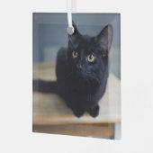 最も可愛い赤ん坊の動物 |黒猫のポートレート ガラスオーナメント (正面左)