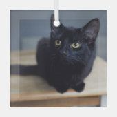 最も可愛い赤ん坊の動物 |黒猫のポートレート ガラスオーナメント (正面)