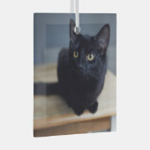 最も可愛い赤ん坊の動物 |黒猫のポートレート ガラスオーナメント (正面右)