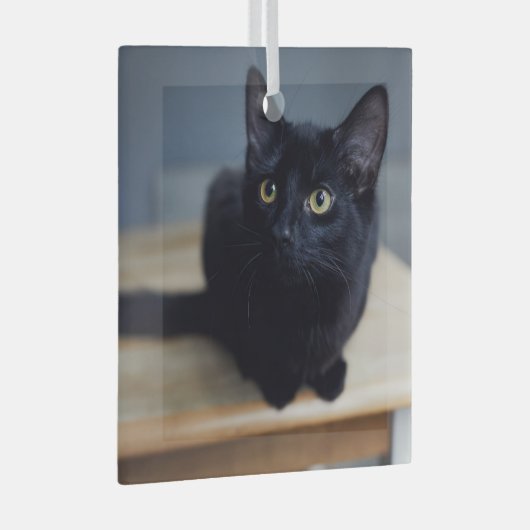 最も可愛い赤ん坊の動物 |黒猫のポートレート ガラスオーナメント (正面右)