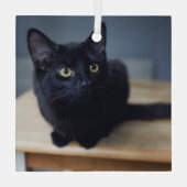 最も可愛い赤ん坊の動物 |黒猫のポートレート ガラスオーナメント (裏面)