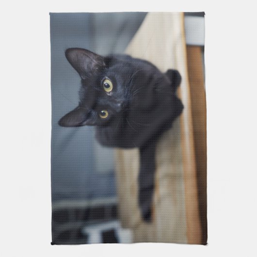 最も可愛い赤ん坊の動物 |黒猫のポートレート キッチンタオル (縦)