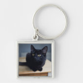 最も可愛い赤ん坊の動物 |黒猫のポートレート キーホルダー (正面)
