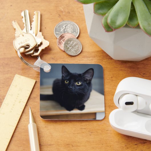 最も可愛い赤ん坊の動物 |黒猫のポートレート キーホルダー (デスク)