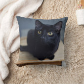 最も可愛い赤ん坊の動物 |黒猫のポートレート クッション (ブランケット)