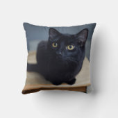 最も可愛い赤ん坊の動物 |黒猫のポートレート クッション (裏面)