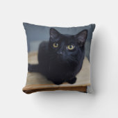 最も可愛い赤ん坊の動物 |黒猫のポートレート クッション (正面)