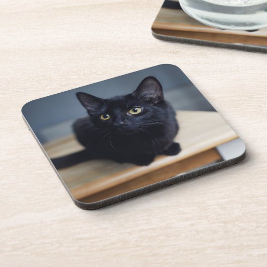最も可愛い赤ん坊の動物 |黒猫のポートレート コースター (左側)