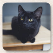 最も可愛い赤ん坊の動物 |黒猫のポートレート コースター (正面)