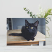 最も可愛い赤ん坊の動物 |黒猫のポートレート サンキューカード (スタンド正面)