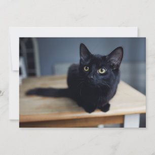 最も可愛い赤ん坊の動物 黒猫のポートレート サンキューカード