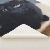 最も可愛い赤ん坊の動物 |黒猫のポートレート シェルパブランケット (3/4)